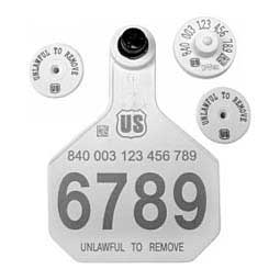 840 USDA HDX EID Ear Tags + Large Numbered Matched Set  Y-Tex